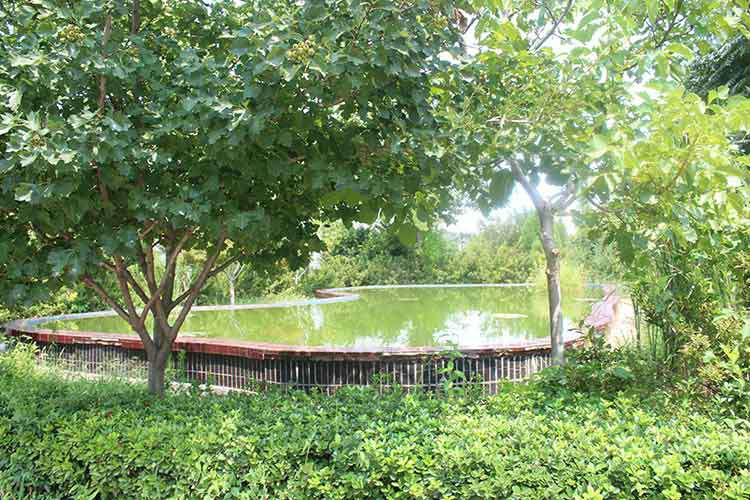 开云手机站官方版网站登录入口-开云(中国)机械厂区环境优美